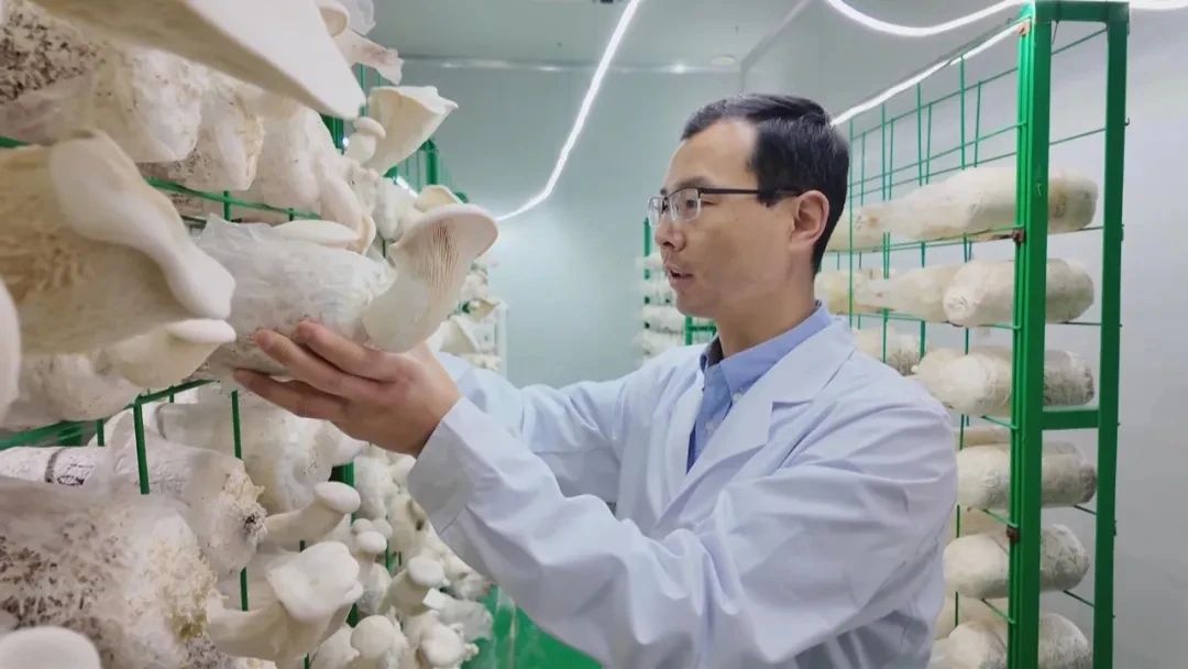 圖片關(guān)鍵詞