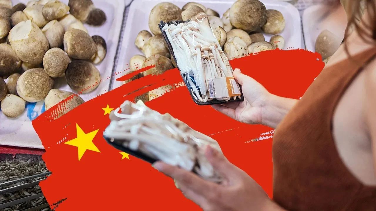 圖片關鍵詞