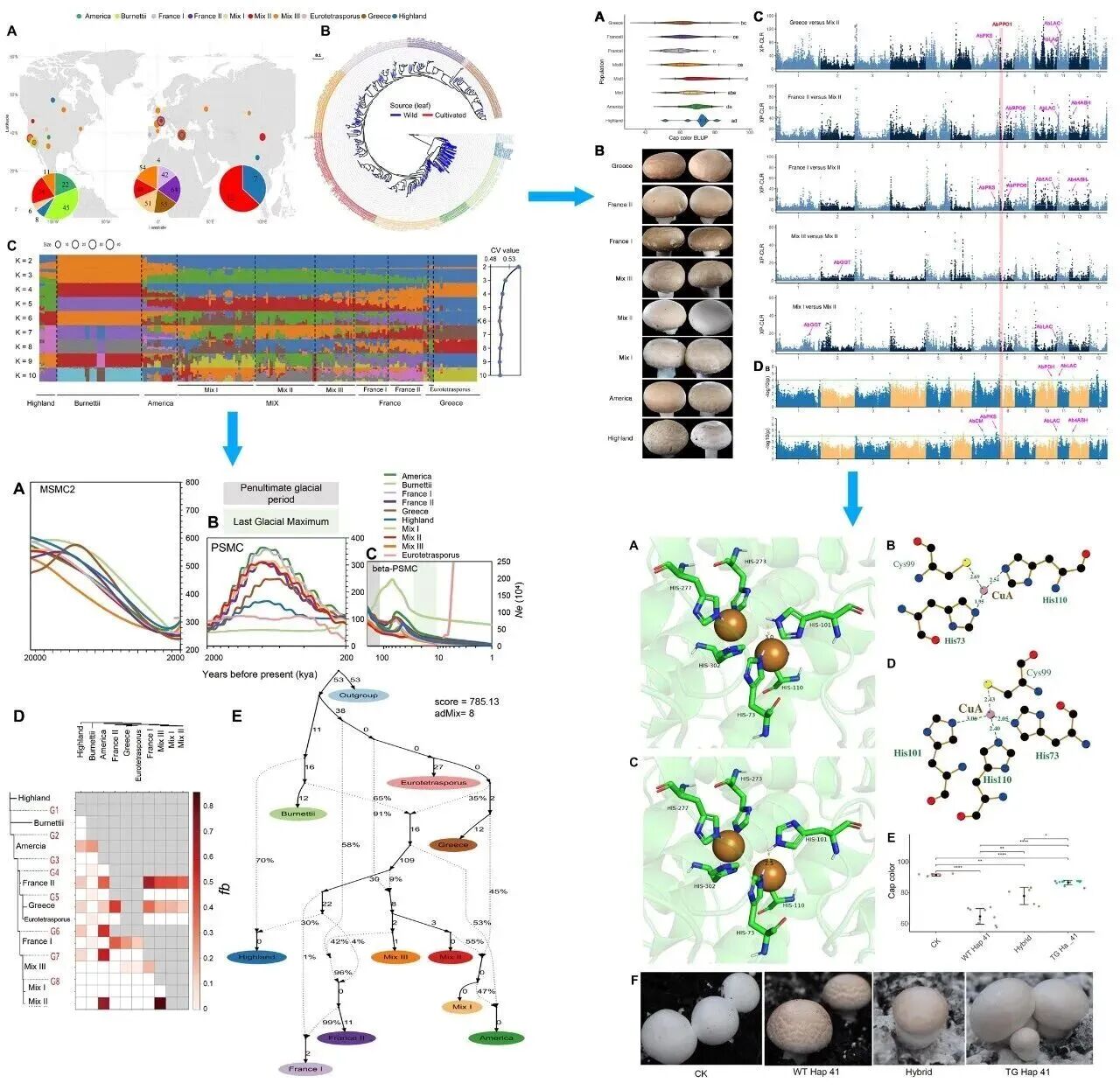 圖片關(guān)鍵詞