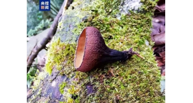 行業動態