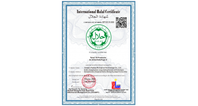 專(zhuān)題報(bào)道